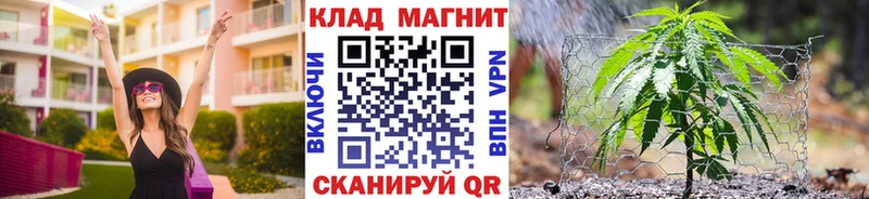Где купить наркотики Ковылкино Кокаин Псилоцибиновые грибы APVP Гашиш МЕФ