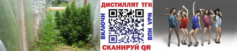 дарнет шоп  Ковылкино  ТГК вейп с тгк 