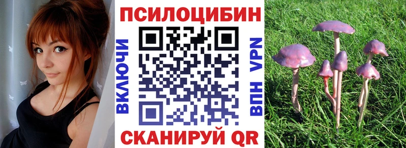 Псилоцибиновые грибы прущие грибы  закладки  Ковылкино 